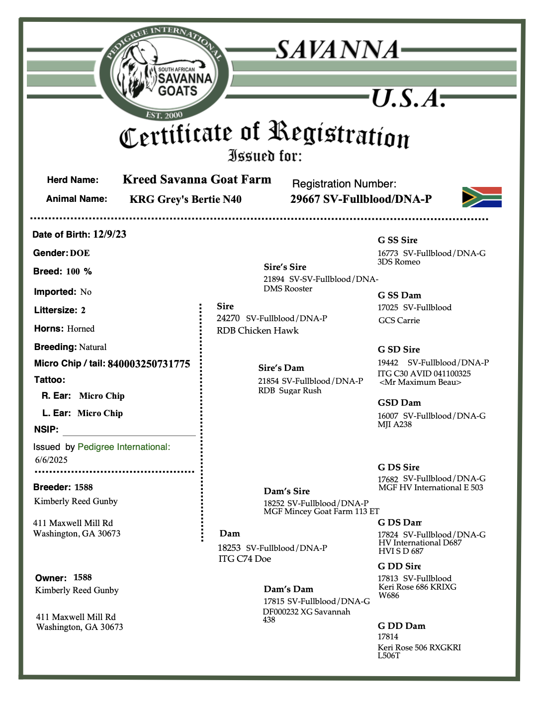 Screenshot 2025-07-11 at 2.30.12 PM